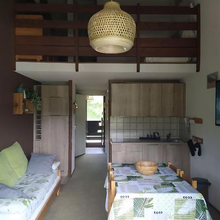Duplex 3 Pieces. Pieds Des Pistes Et Balcon! Apartment Gresse-en-Vercors Ngoại thất bức ảnh