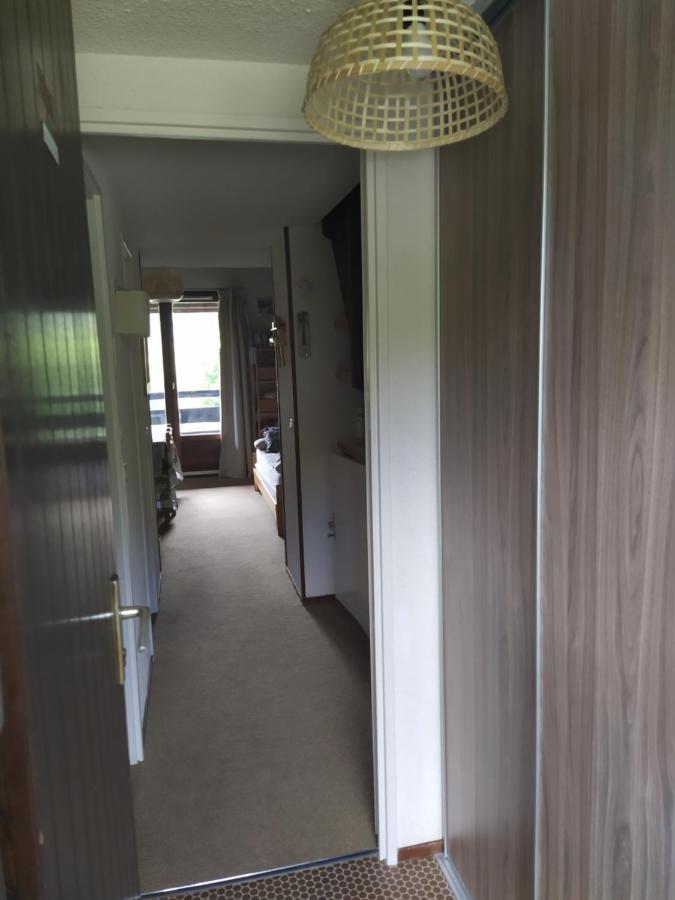 Duplex 3 Pieces. Pieds Des Pistes Et Balcon! Apartment Gresse-en-Vercors Ngoại thất bức ảnh