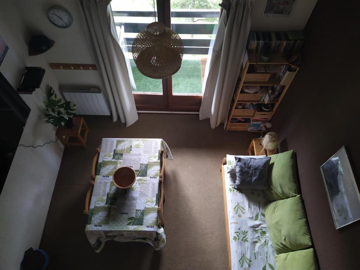 Duplex 3 Pieces. Pieds Des Pistes Et Balcon! Apartment Gresse-en-Vercors Ngoại thất bức ảnh