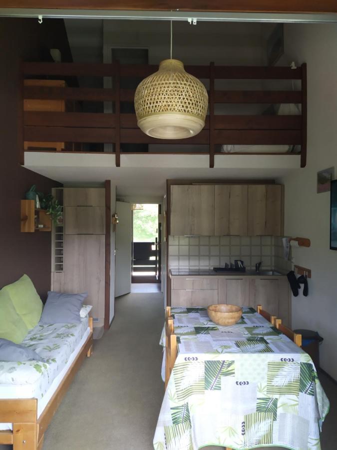 Duplex 3 Pieces. Pieds Des Pistes Et Balcon! Apartment Gresse-en-Vercors Ngoại thất bức ảnh